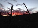 photo thumbnail #11