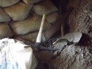 photo thumbnail #12