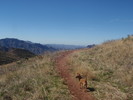 photo thumbnail #13