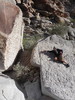 photo thumbnail #5