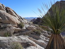 photo thumbnail #6