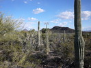 photo thumbnail #15