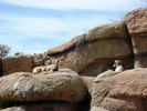 photo thumbnail #8