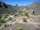 photo thumbnail #1