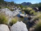 photo thumbnail #13