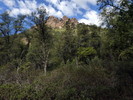 photo thumbnail #5