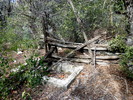 photo thumbnail #7