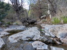 photo thumbnail #9