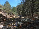 photo thumbnail #10