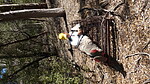 photo thumbnail #11