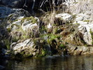 photo thumbnail #13