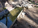 photo thumbnail #14
