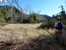 photo thumbnail #15