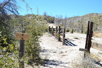 photo thumbnail #2