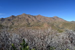 photo thumbnail #7