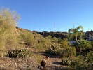 photo thumbnail #1