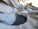 photo thumbnail #10