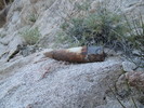 photo thumbnail #5