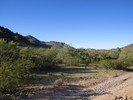 photo thumbnail #1