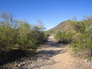 photo thumbnail #2