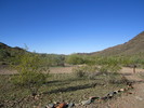 photo thumbnail #3