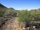photo thumbnail #5