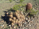 photo thumbnail #6