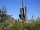 photo thumbnail #9