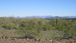 photo thumbnail #10