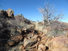 photo thumbnail #2