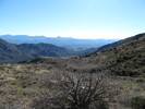 photo thumbnail #6