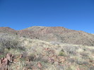 photo thumbnail #10