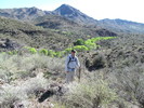 photo thumbnail #12