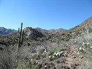 photo thumbnail #14