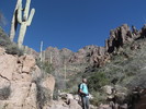 photo thumbnail #7