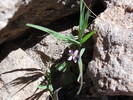 photo thumbnail #11