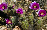 photo thumbnail #10