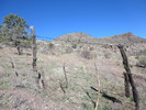 photo thumbnail #6