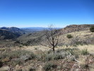 photo thumbnail #8