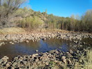 photo thumbnail #8