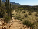 photo thumbnail #13