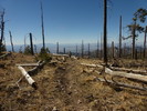 photo thumbnail #8