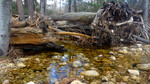 photo thumbnail #12