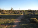 photo thumbnail #3