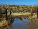 photo thumbnail #2