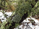 photo thumbnail #15