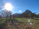 photo thumbnail #1