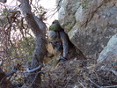 photo thumbnail #11
