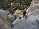 photo thumbnail #6
