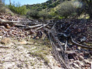 photo thumbnail #12